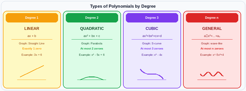 Four types of polynomials: linear degree 1 with straight line graph, quadratic degree 2 with parabola, cubic degree 3 with S-curve, and general degree n