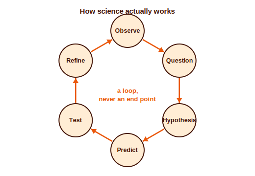 Six stages in a ring with arrows: observe, question, hypothesis, predict, test, refine, returning to observe