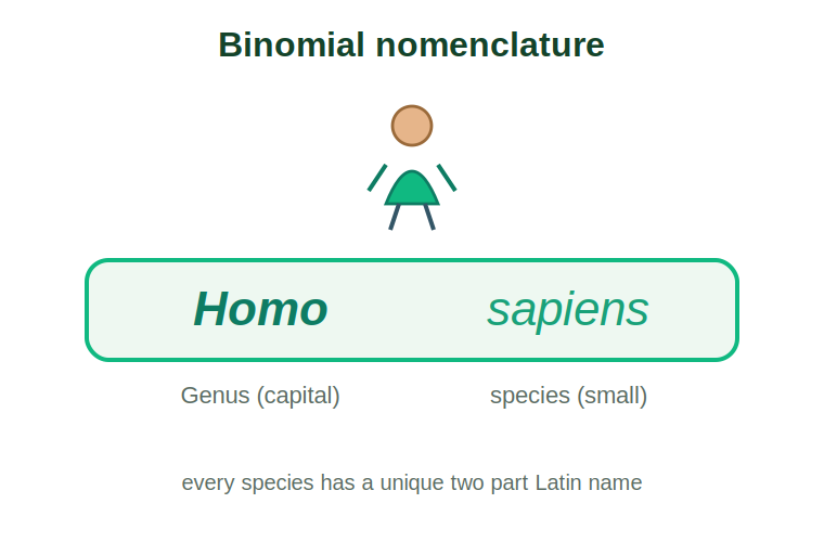 The name Homo sapiens labelled to show genus with capital letter and species with small letter