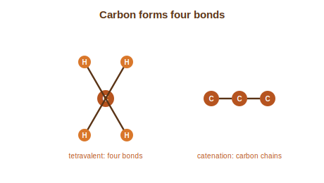 A carbon atom with four bonds and a chain of carbon atoms showing catenation