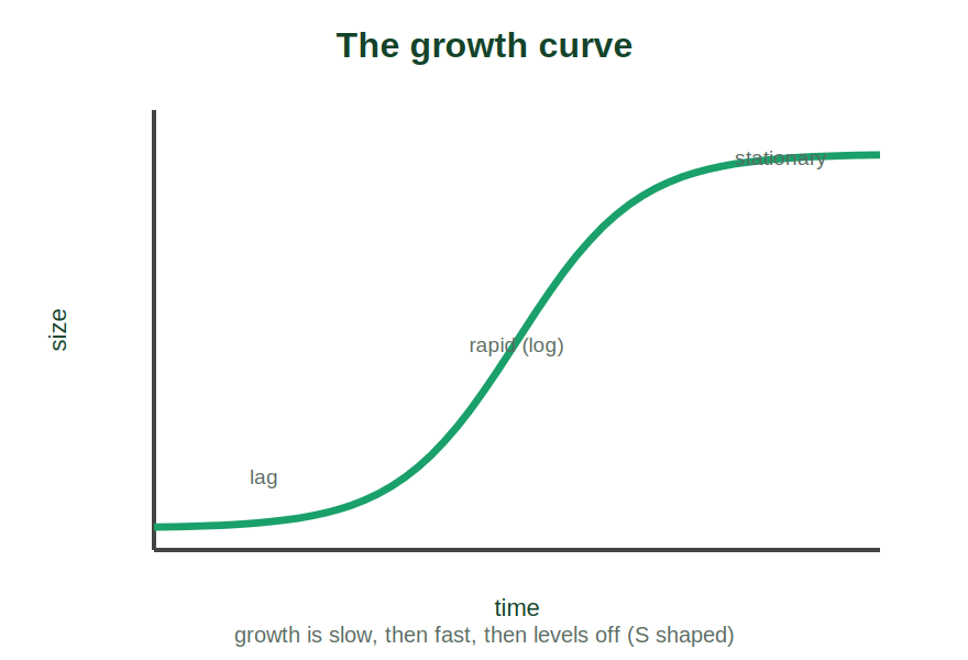 An S-shaped growth curve with lag, rapid and stationary phases