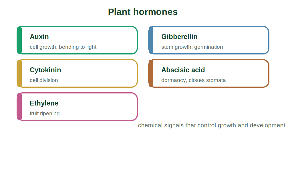 The plant hormones auxin, gibberellin, cytokinin, abscisic acid and ethylene with their roles