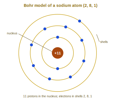 Bohr model of sodium with a central nucleus and electrons in three shells holding 2, 8 and 1