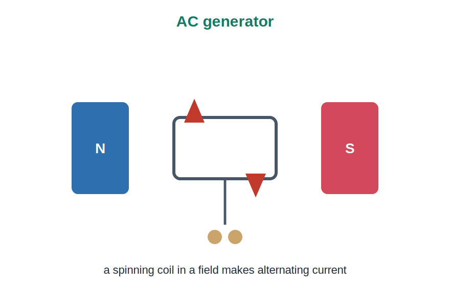 An AC generator with a coil spinning between magnetic poles
