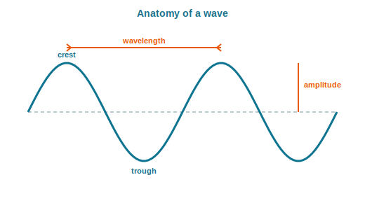 A wave showing crest, trough, wavelength between crests and amplitude from the rest line