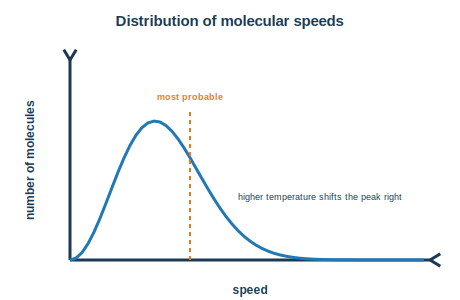 A curve showing the distribution of molecular speeds with a most probable speed