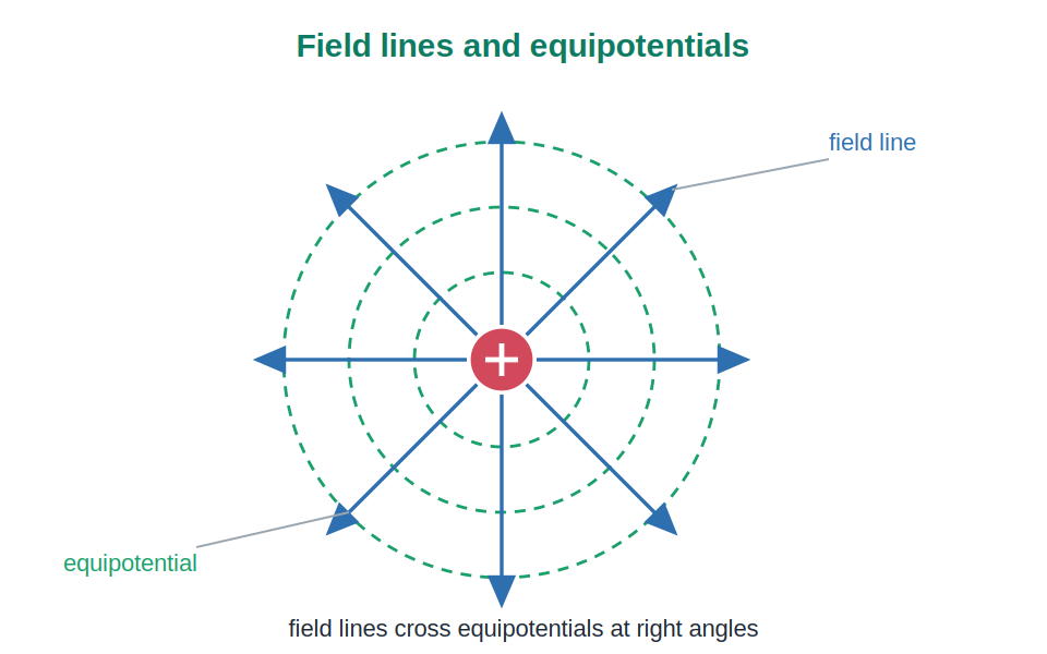 Radial field lines crossing concentric equipotential circles at right angles