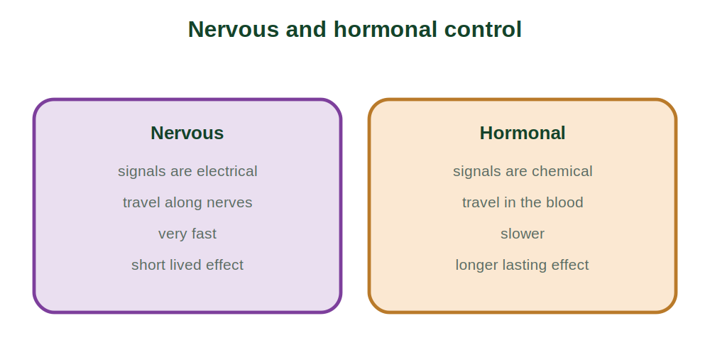 A comparison of nervous and hormonal control