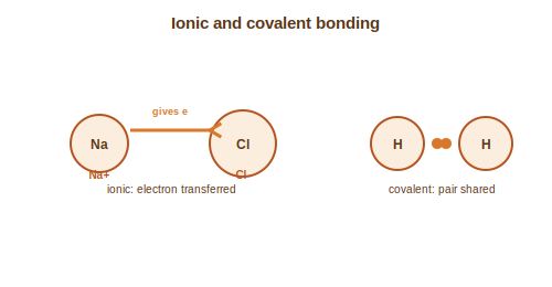 Electron transfer forming ions, and electron sharing in a covalent bond