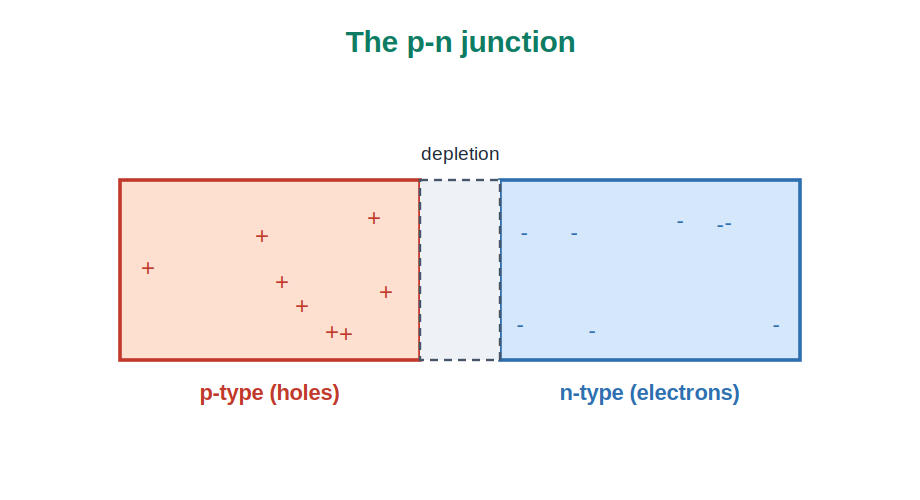 A p-n junction with p-type, n-type and a depletion region