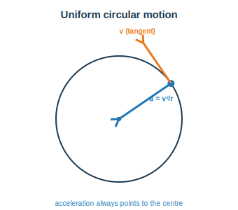 Object on a circle with tangential velocity and centripetal acceleration pointing to the centre