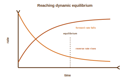 Forward and reverse rates meeting at equilibrium over time