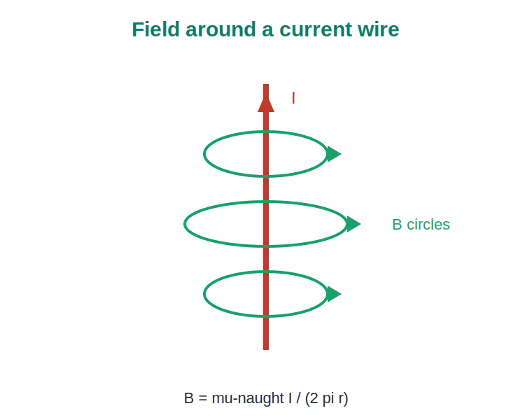 Circular magnetic field lines around a straight current carrying wire