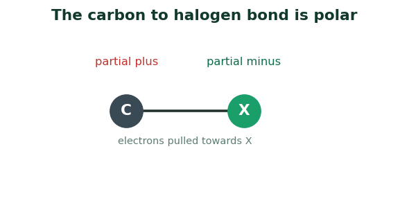 Fig 1. The halogen pulls the shared electrons towards itself, leaving the carbon slightly positive and open to attack.