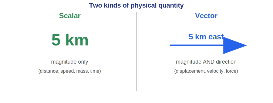 A scalar has magnitude only; a vector has magnitude and direction