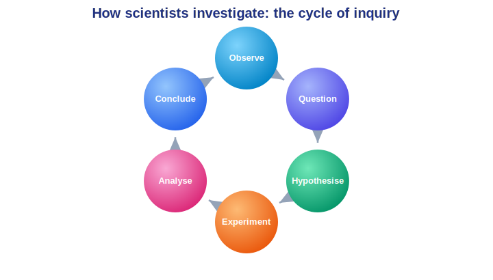 The cycle of scientific investigation, from observing to concluding