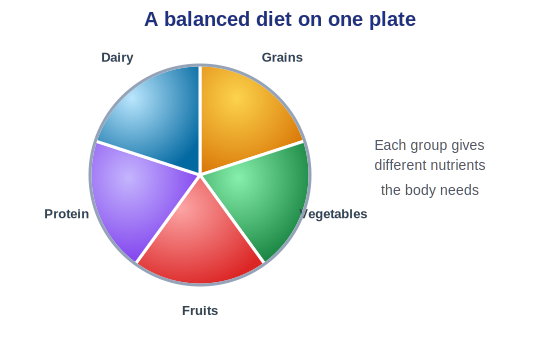 Good nutrition is one pillar of a healthy lifestyle