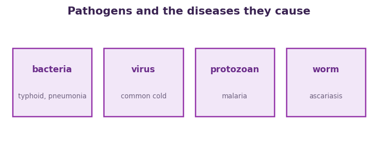 Fig 1. Different kinds of pathogen cause different diseases, from bacteria and viruses to protozoans and worms.