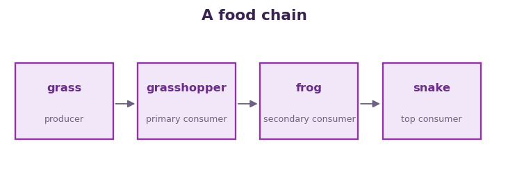Fig 1. Energy passes along a food chain from the producer through the consumers, level by level.