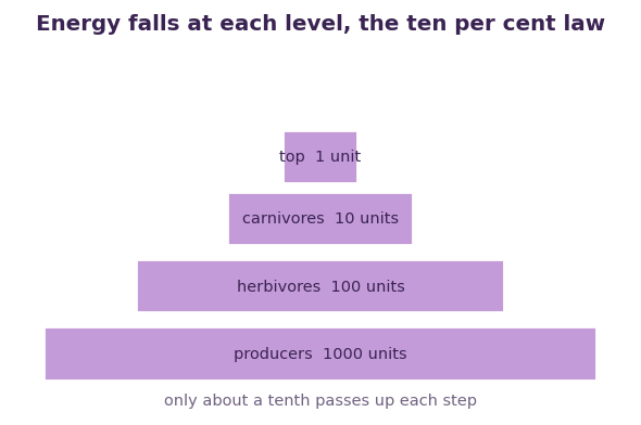 Fig 2. At each step most energy is lost, so only about a tenth passes up, which is why chains are short.