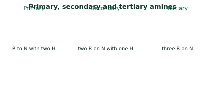 Fig 2. Primary, secondary and tertiary amines differ by how many carbon groups sit on the nitrogen.