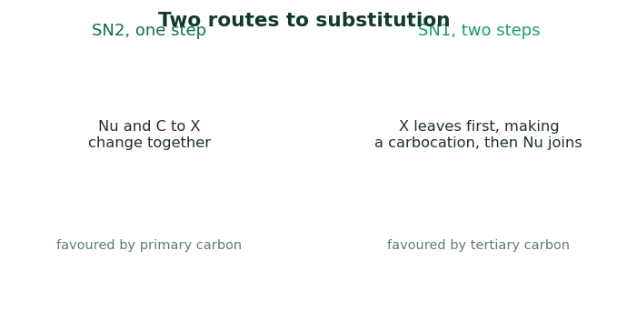 Fig 3. Substitution can go in one concerted step or in two steps through a carbocation, depending on the carbon.