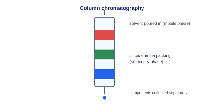 Column chromatography separating a mixture into coloured bands