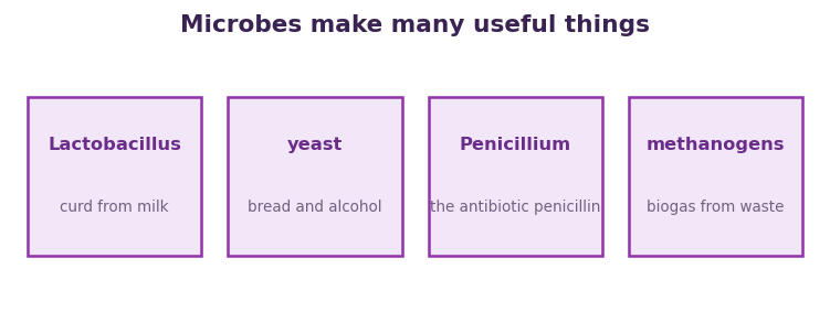 Fig 1. Different microbes give us curd, bread, alcohol, antibiotics and biogas.