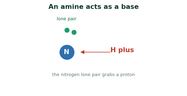 Fig 1. The nitrogen offers its lone pair to a passing proton, so the amine acts as a base.