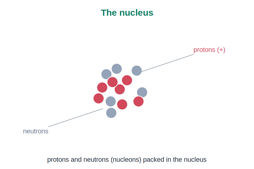 A nucleus made of protons and neutrons packed together