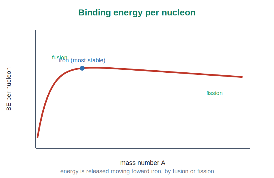 The binding energy per nucleon curve peaking near iron