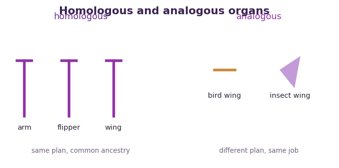 Fig 1. Homologous organs share a plan from a common ancestor, while analogous organs share only a function.