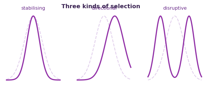 Fig 3. Selection may favour the middle, shift towards one extreme, or split the population towards both extremes.