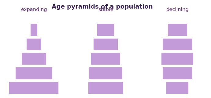 Fig 2. A broad base means a growing population, an even shape a steady one, and a narrow base a shrinking one.